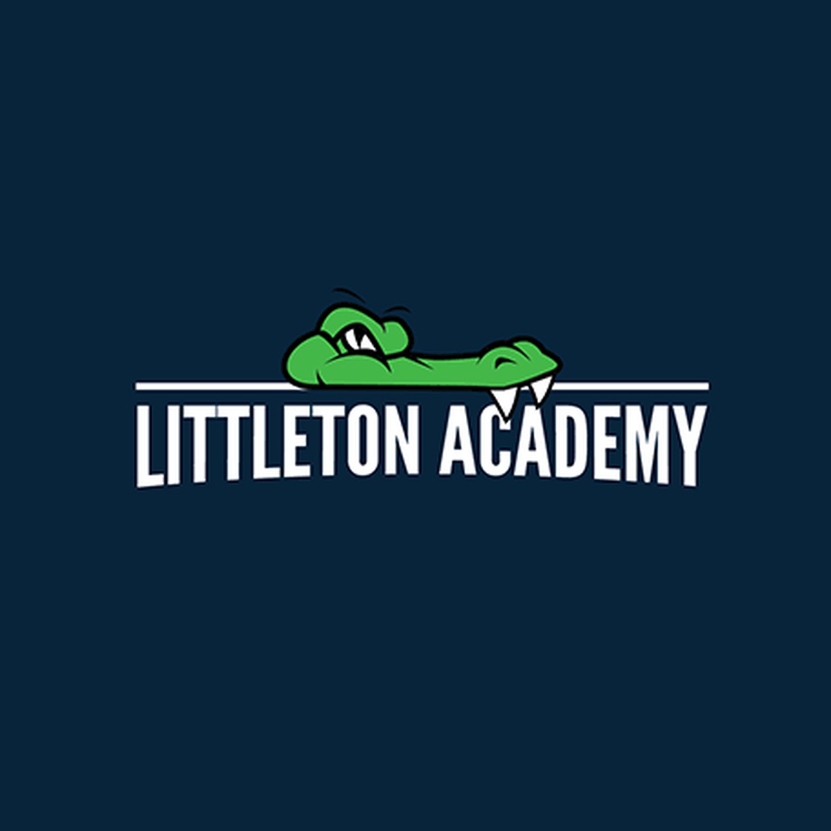 Original artwork before redesign, Logo → PVC patch